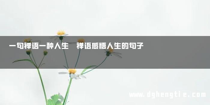 一句禅语一种人生 禅语感悟人生的句子